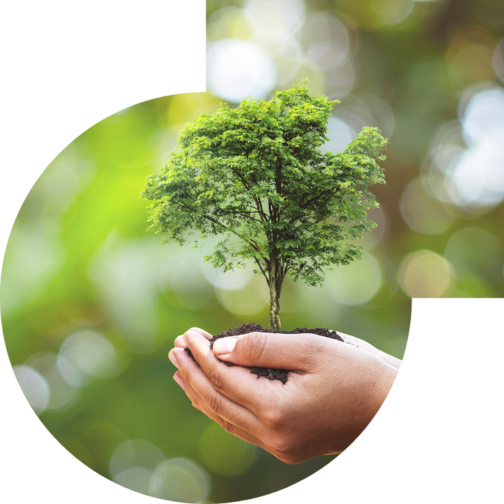 關懷人類、文化、環境與社會